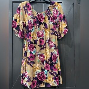 Love the colors!  Beautiful top or dress!